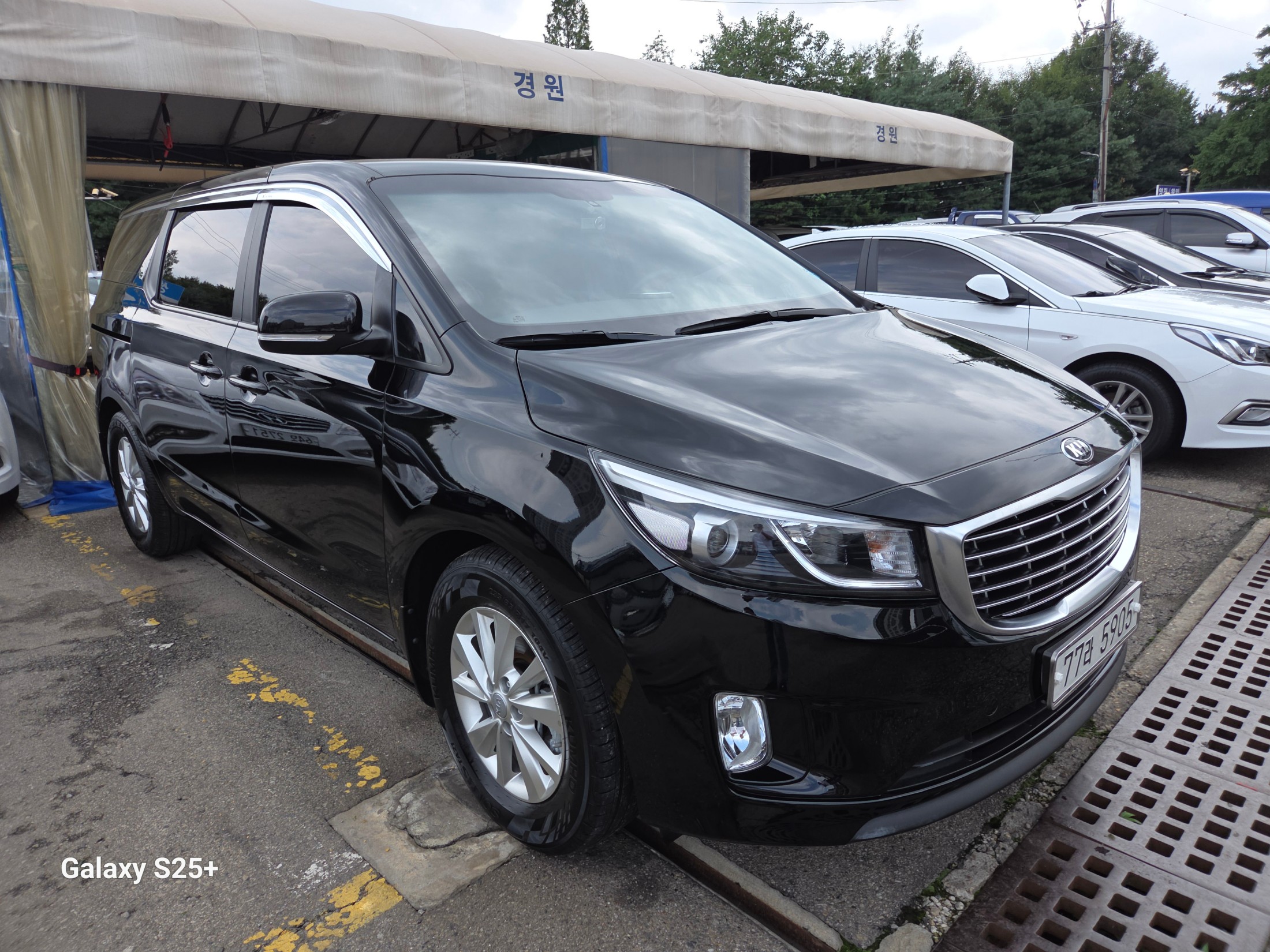 KIA CARNIVAL photo 3