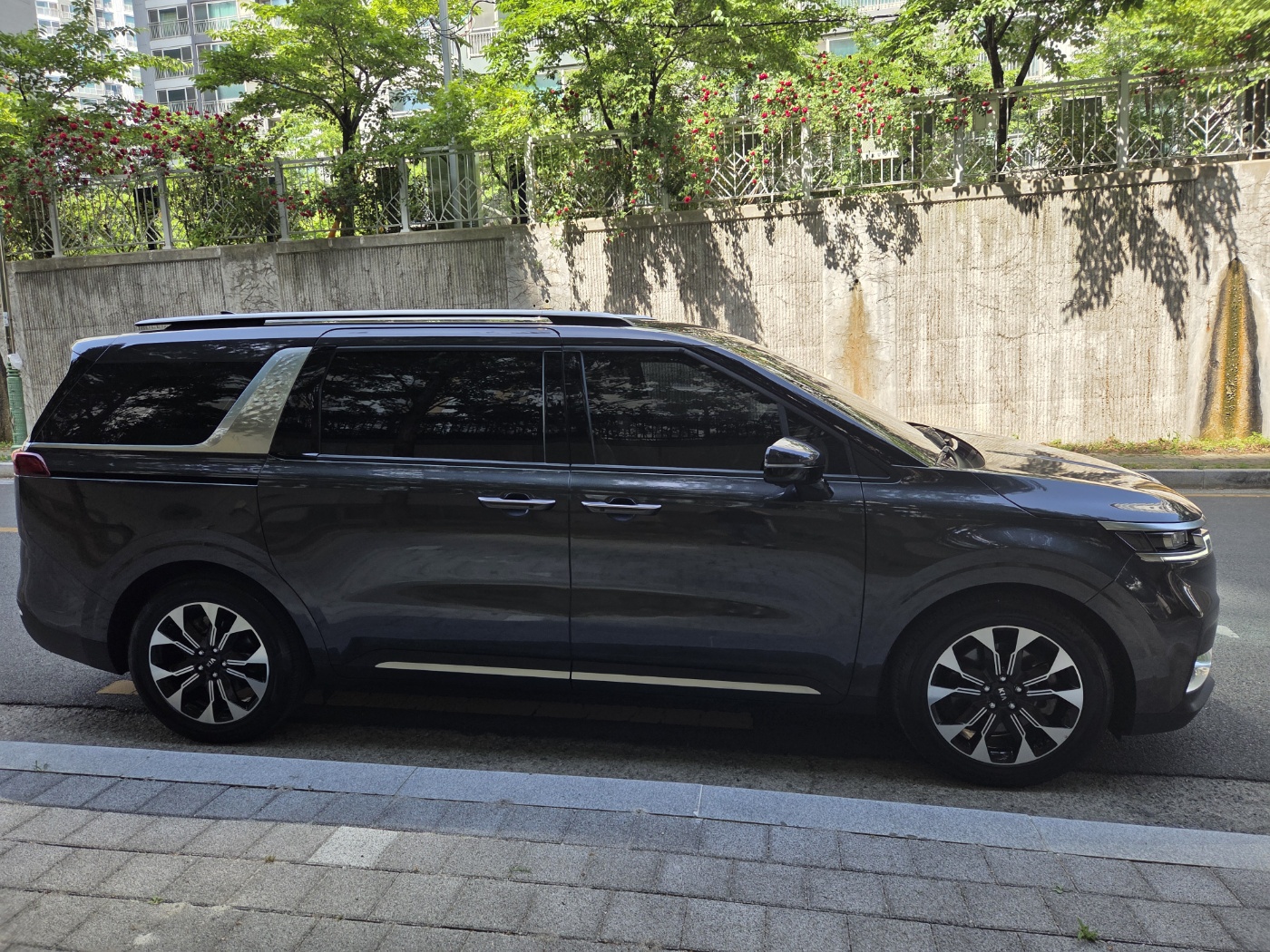 KIA CARNIVAL photo 3