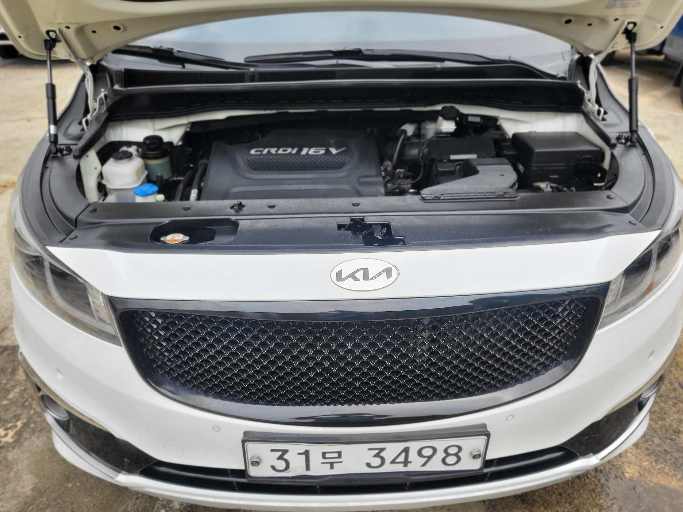 KIA CARNIVAL photo 3