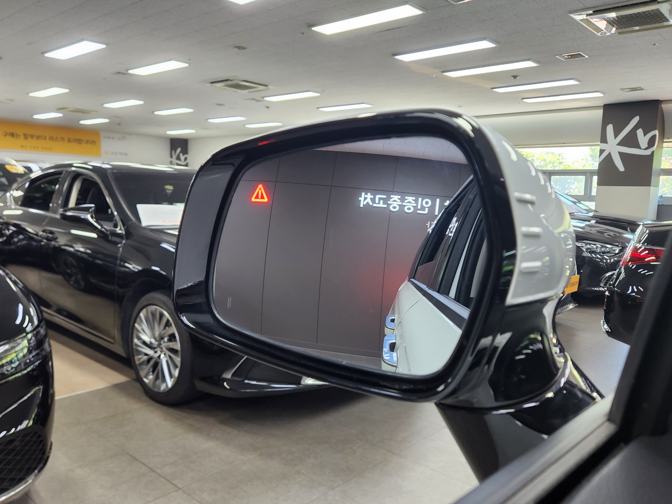 KIA CARNIVAL photo 3