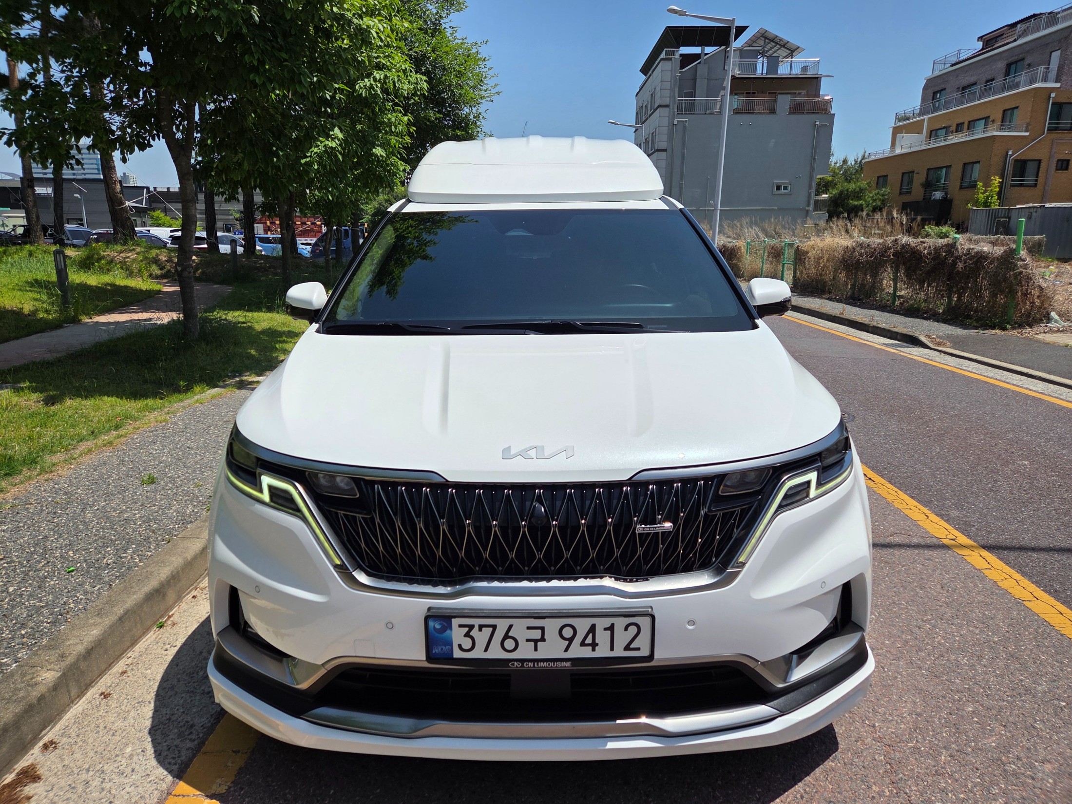 KIA CARNIVAL photo 3