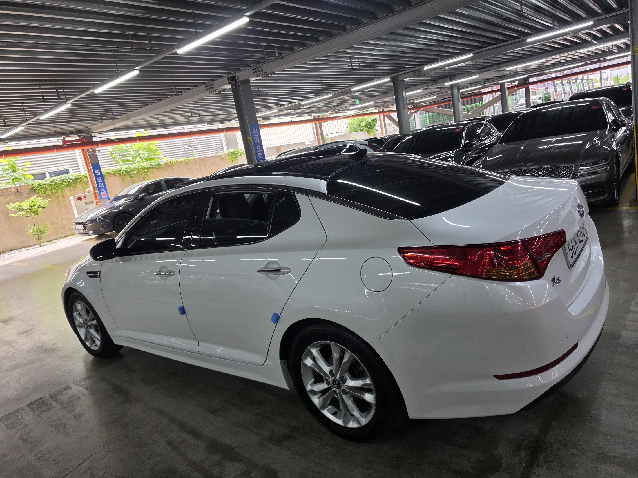 KIA K5 photo 3