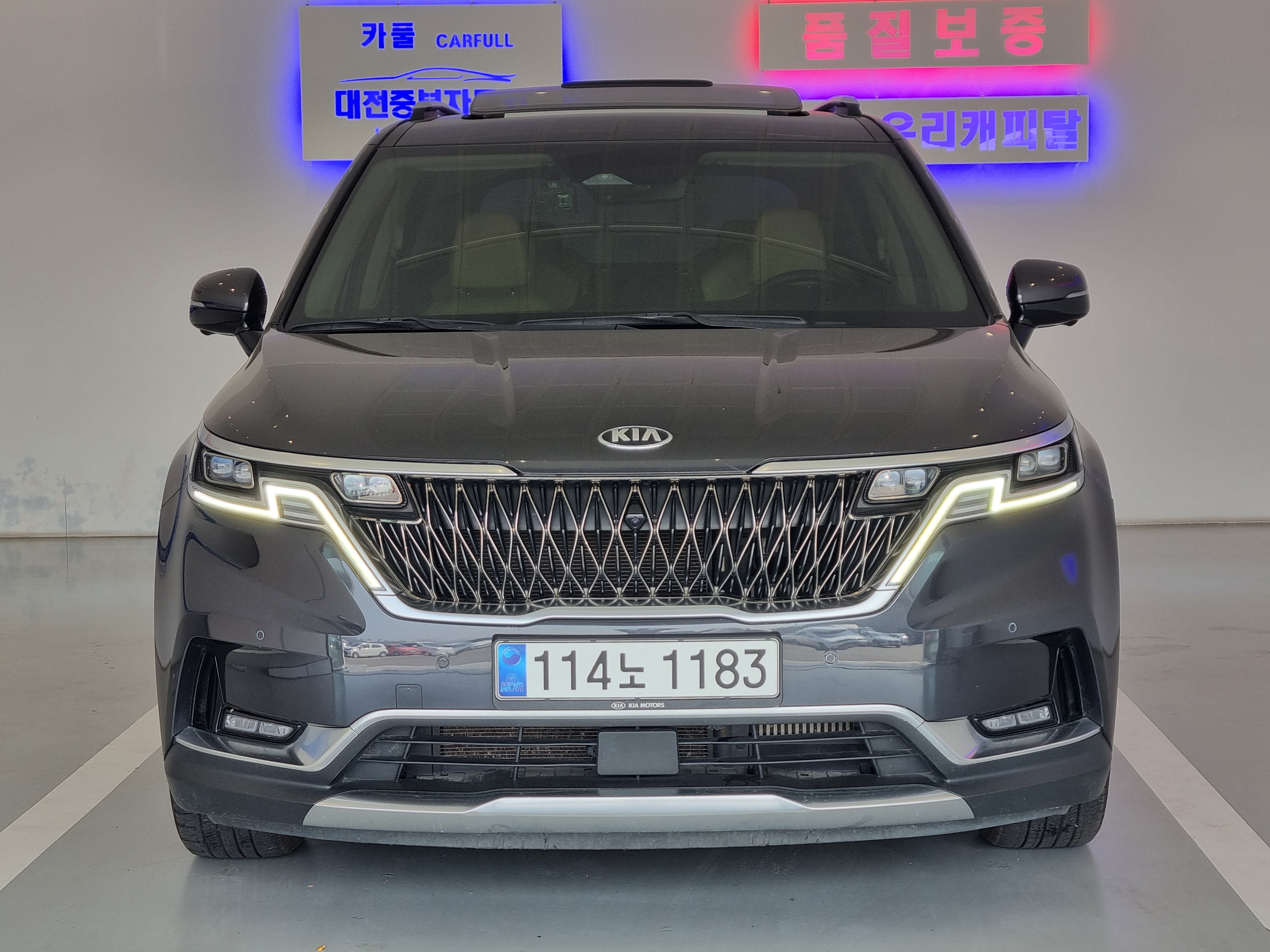 KIA CARNIVAL photo 3
