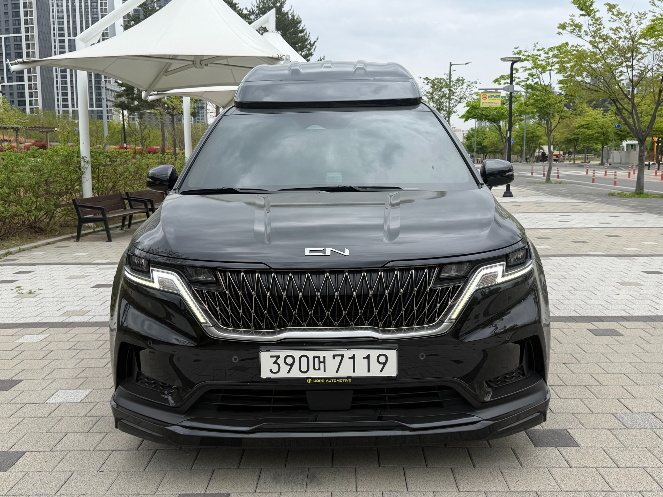 KIA CARNIVAL photo 3