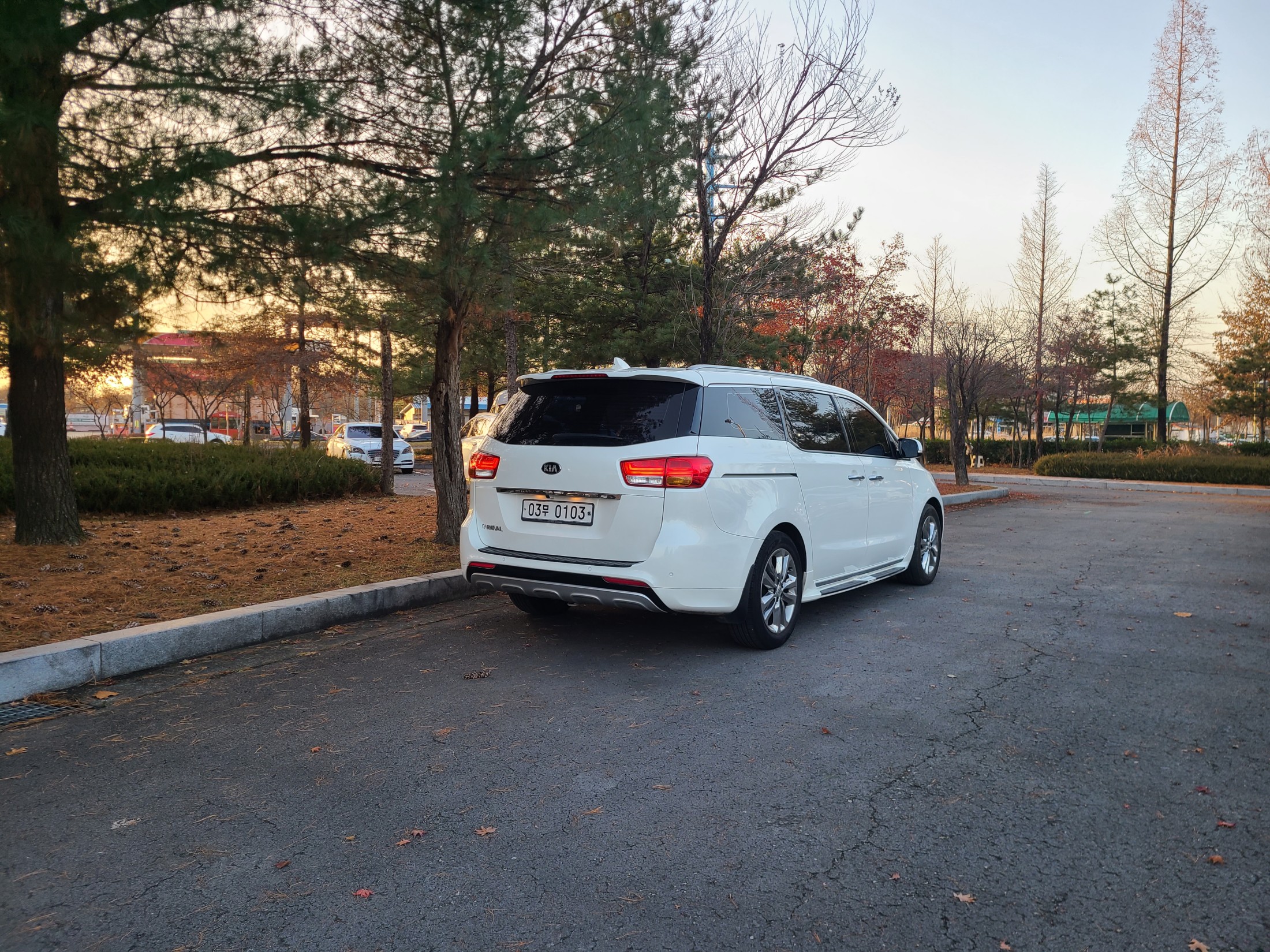 KIA CARNIVAL photo 2