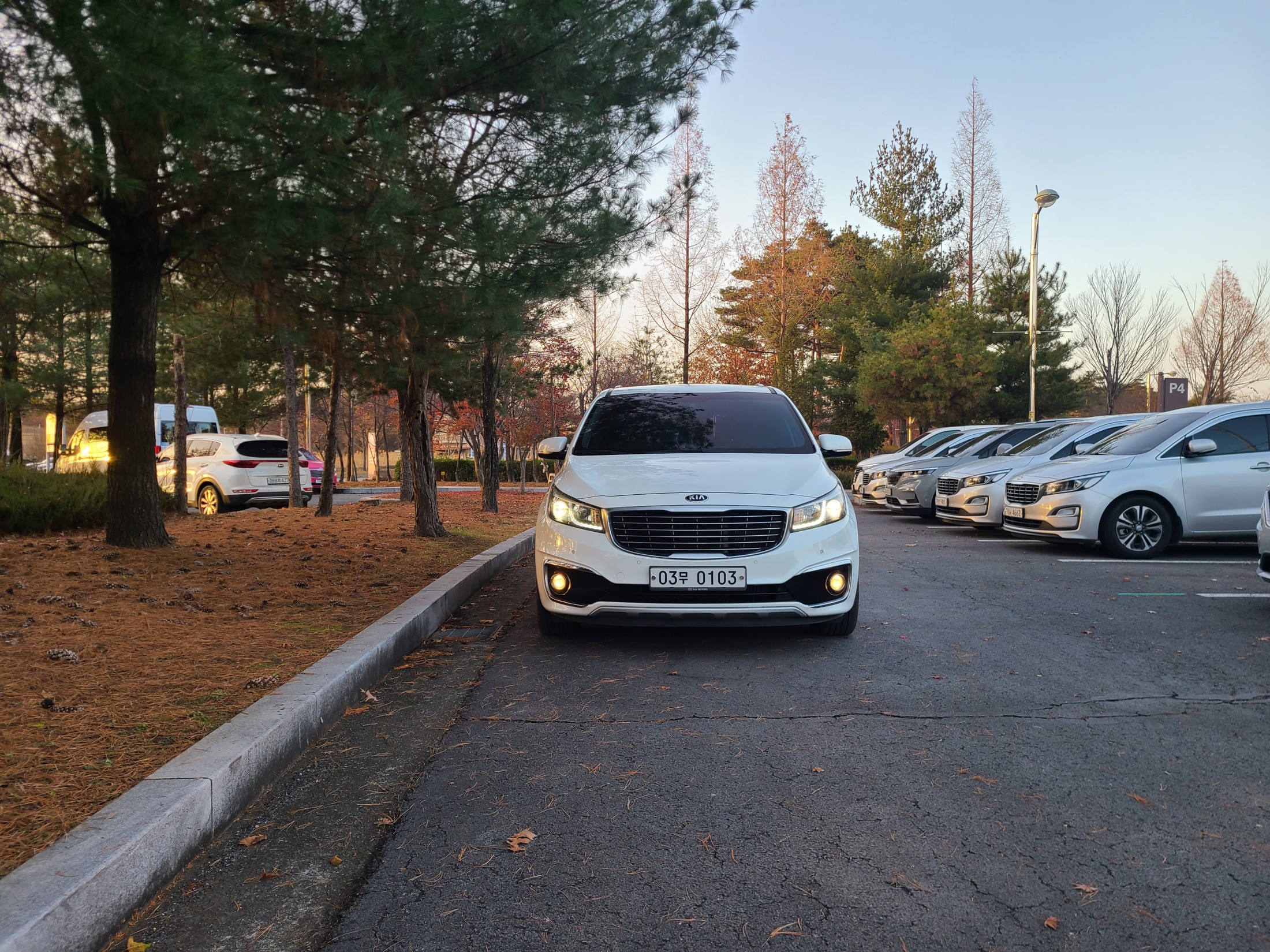 KIA CARNIVAL photo 3