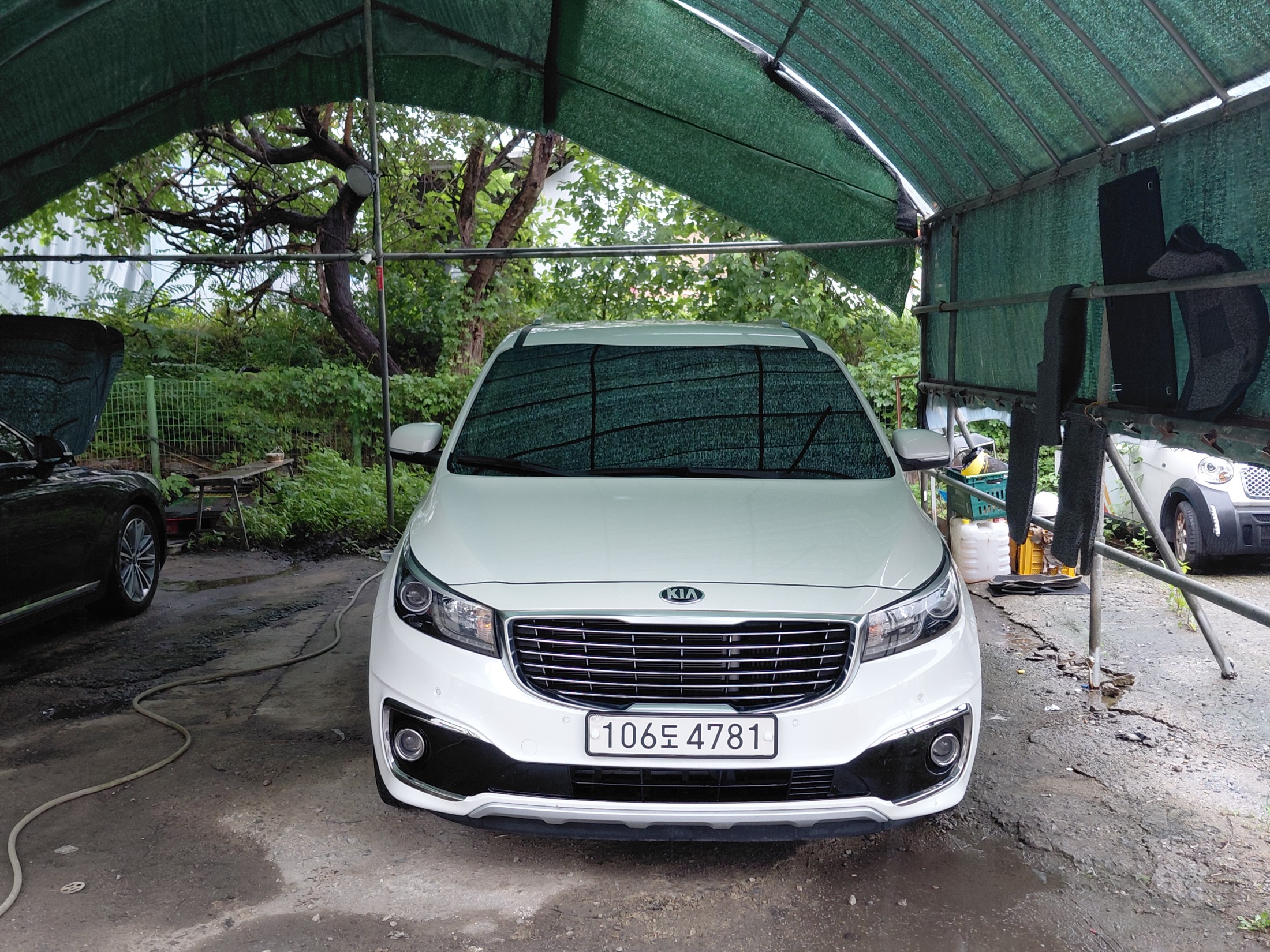 KIA CARNIVAL photo 2
