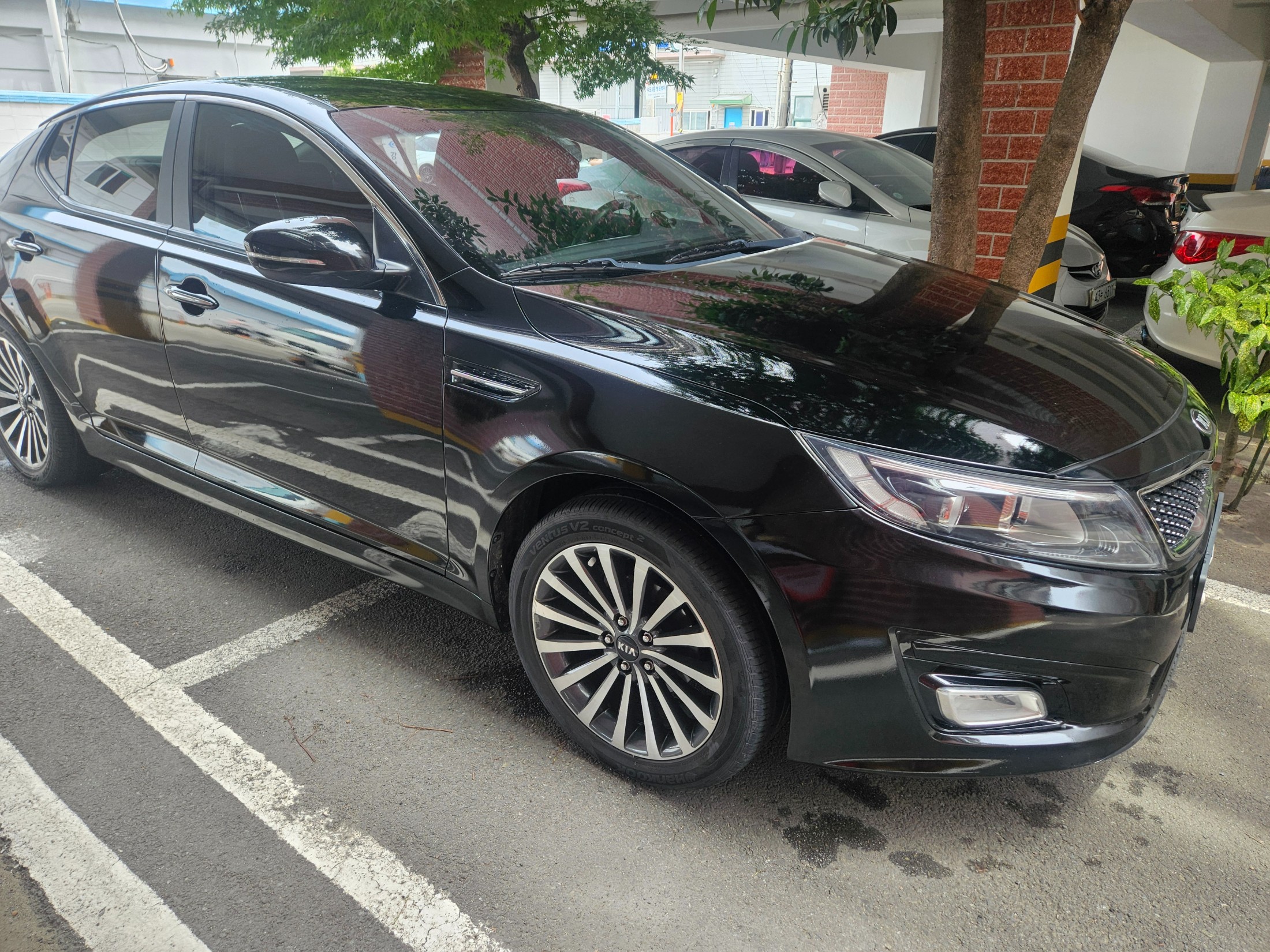 KIA K5 photo 2