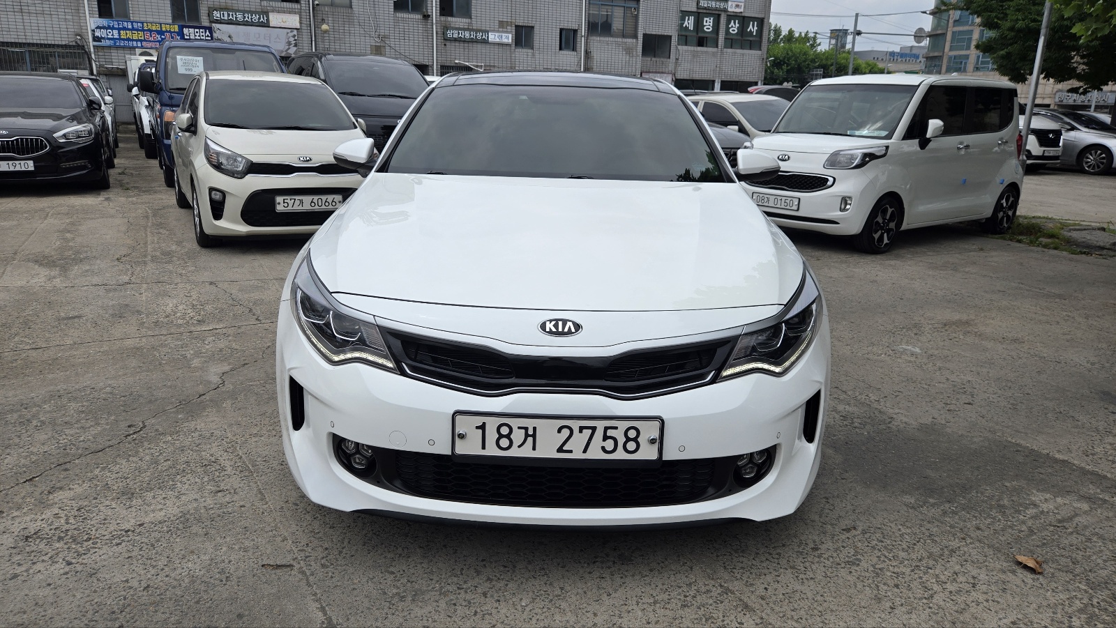 KIA K5 photo 2
