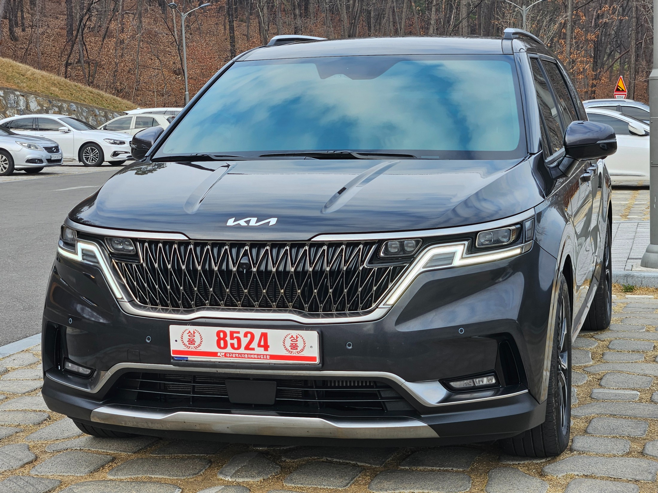 KIA CARNIVAL photo 3
