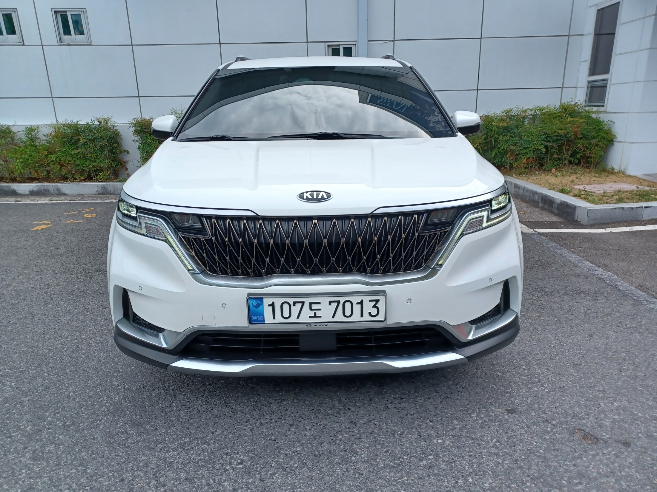 KIA CARNIVAL photo 3