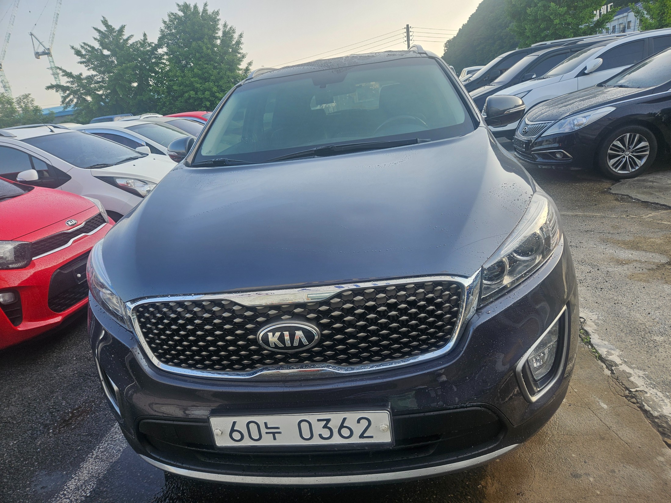 KIA SORENTO